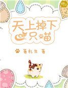 天上掉下一隻喵