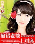 抱錯老婆嫁對郎/抱錯老婆上對床